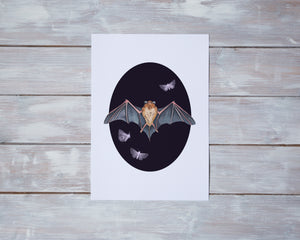 Bat and Moths Print