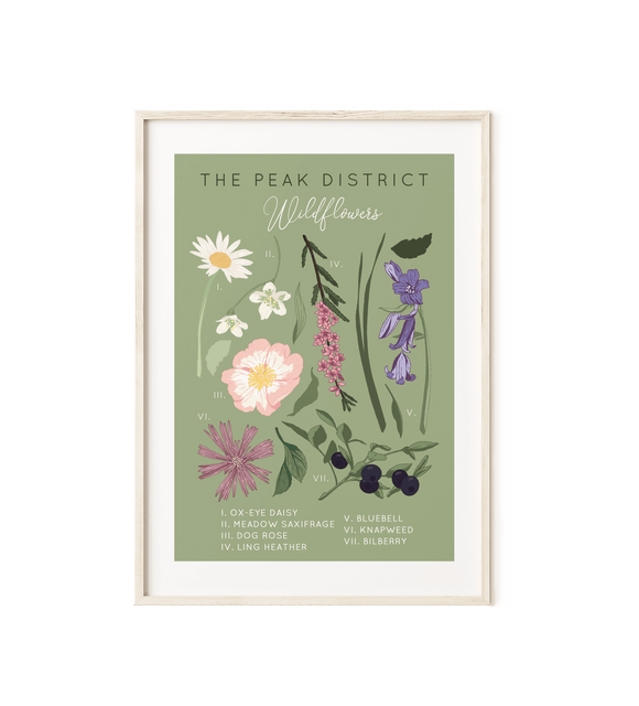 The Peak District Wildflowers Illustrated Art Print