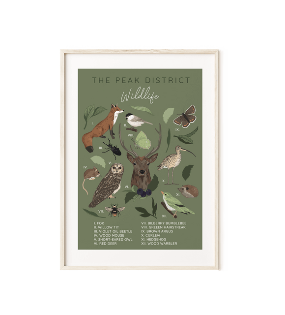 The Peak District Wildlife Illustrated Art Print