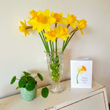 Daffodil card from hand printed artwork by Dot Cotton Crafts. Reads 'Happy Mother's Day'  on front of card