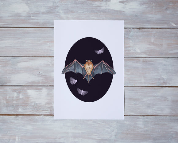 Bat and Moths Print
