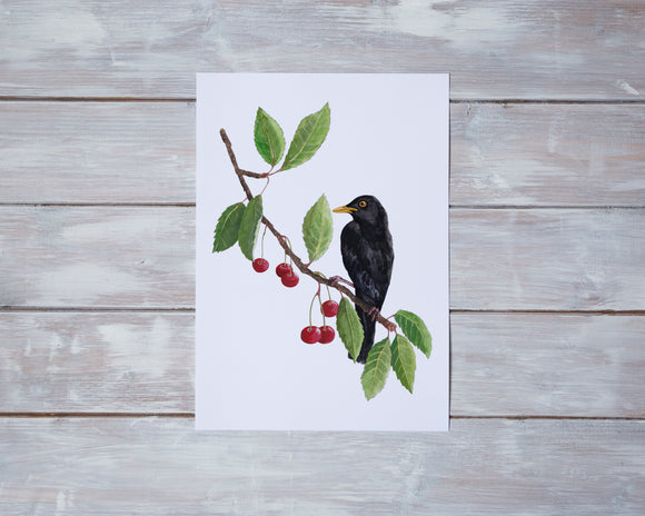 Blackbird and Cherries Print