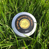 Beeswax Lip Balm