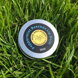 Beeswax Lip Balm