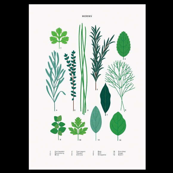 'Herbs' A3 Print