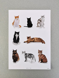 A4 Digital Cat Print