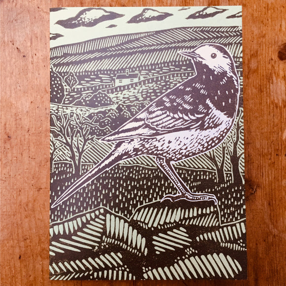 'Pied Wagtail' Lino Art Card